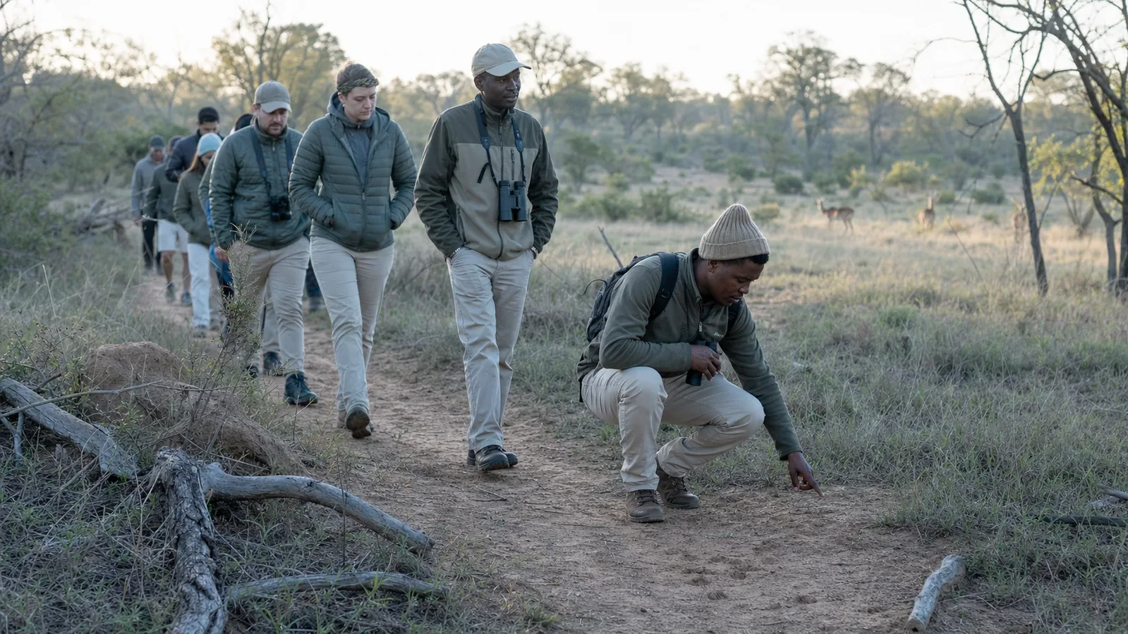 Field guides leading a small walking safari group while reading animal tracks